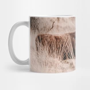 Scottish Highlander in the woods of Deelerwoud in the Netherlands Mug